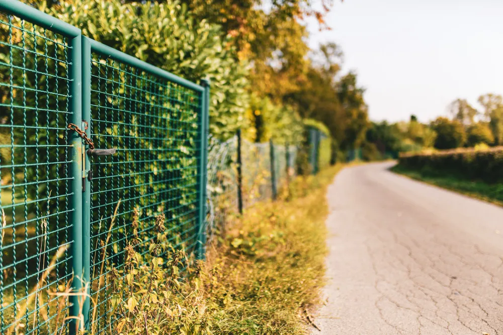 Frequently Asked Questions About Pet Fences | Secure