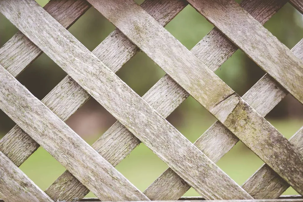 How to clean wood fence easily simple steps for a betterd