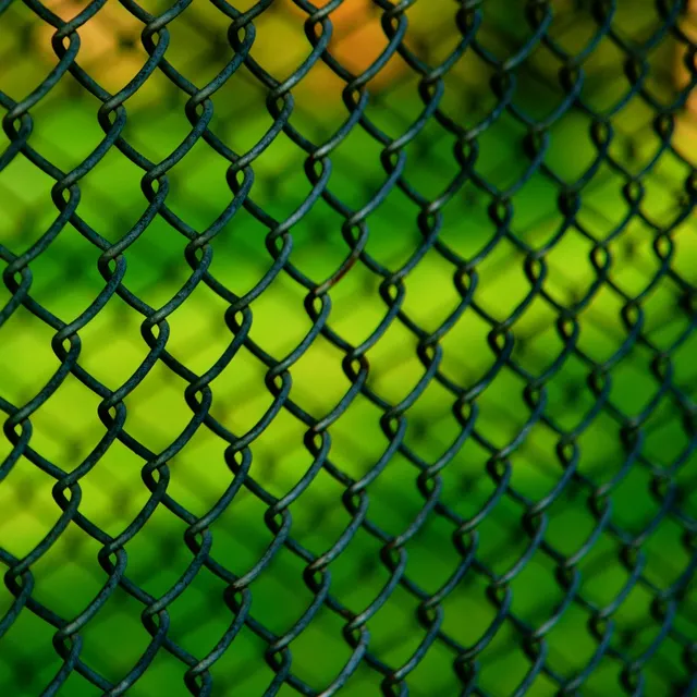 PVC-coated black chain link fence