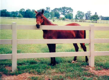 Illusions 3-rail post-and-rail vinyl fence in Classic White with horse