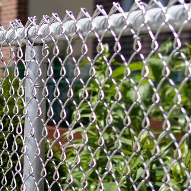 Galvanized chain link fence