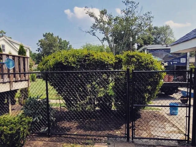 Chain link fence project