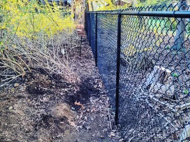 Black PVC-coated chain link fence in a residential backyard in NJ