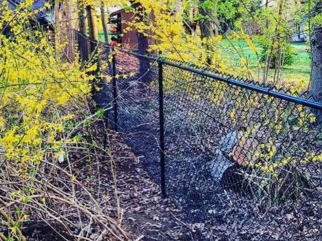 Tall PVC-coated chain link with privacy slats — commercial yard