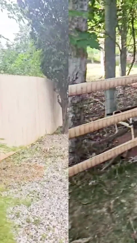 Two wood fence styles installed at a New Jersey property